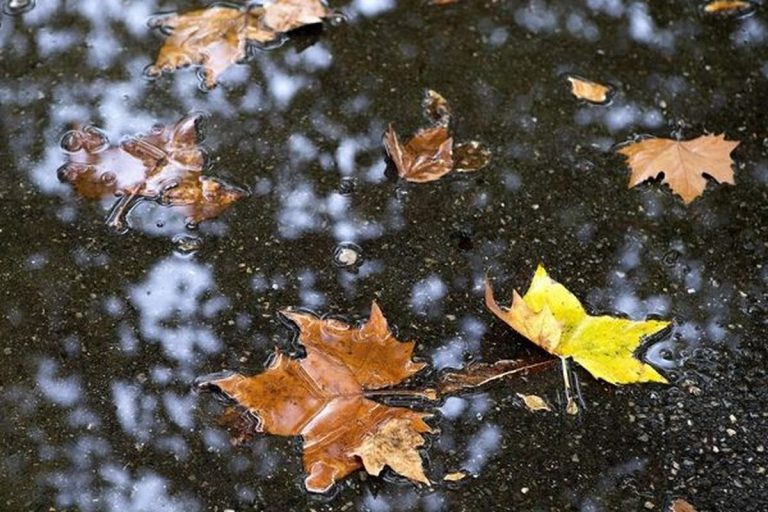 Cum va fi vremea vineri, 17 septembrie. E în vigoare o informare meteo de la ANM