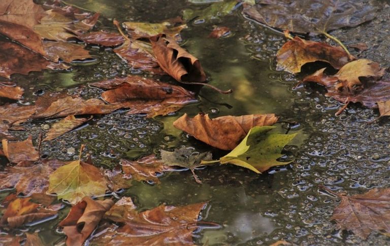 Meteo, 20 septembrie. Cum va fi vremea în Capitală, în prima zi a săptămânii