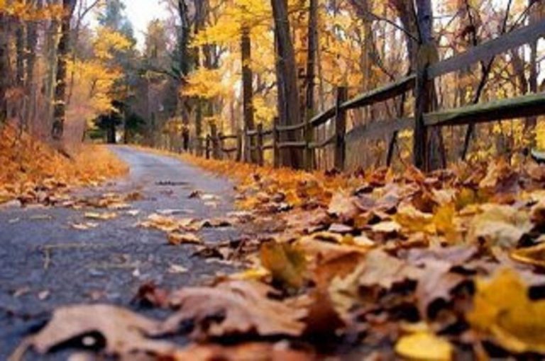 Meteo, 27 septembrie. Cum va fi vremea în prima zi a săptămânii