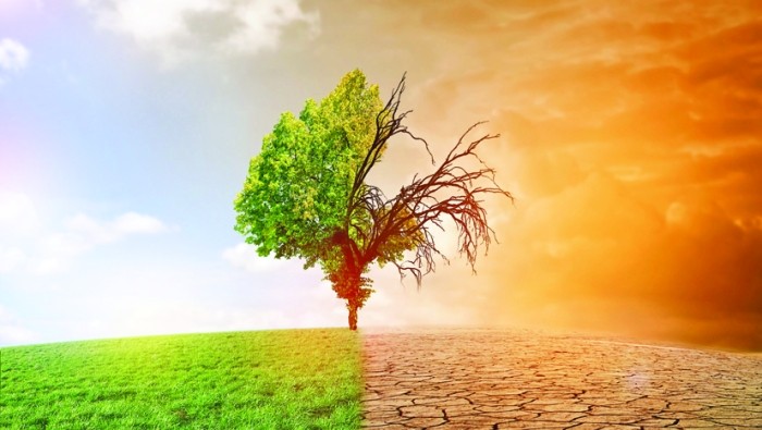 O triplă criză planetară amenință drepturile omului