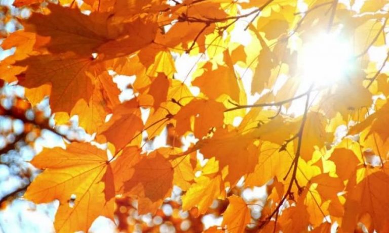 Meteo, 16 septembrie. Vreme caldă, joi, în Capitală. Până la cât urcă temperaturile