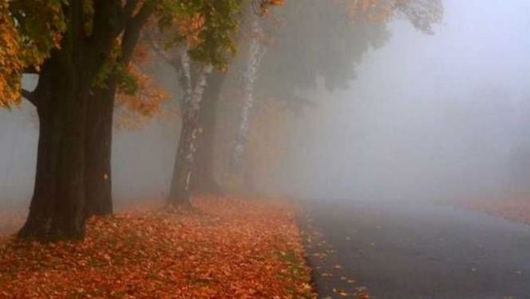 Meteo, 18 octombrie. Cum va fi vremea în prima zi a săptămânii. COD GALBEN de ceață în mai multe zone ale țării