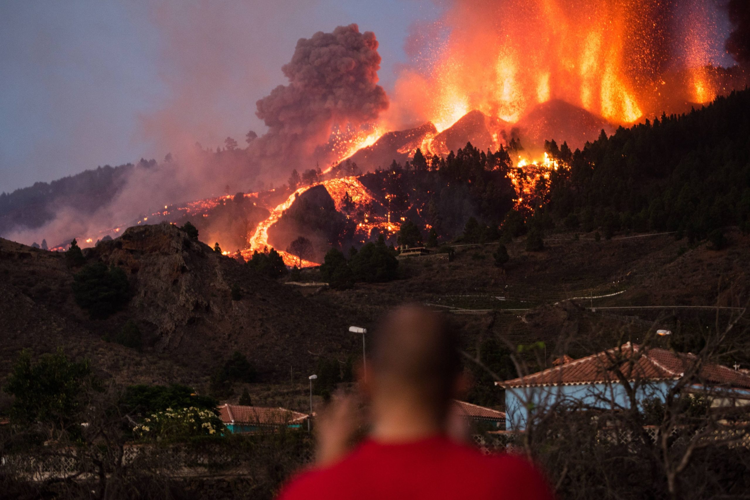 la palma