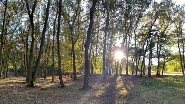 Meteo, 21 octombrie. Temperaturile mai cresc