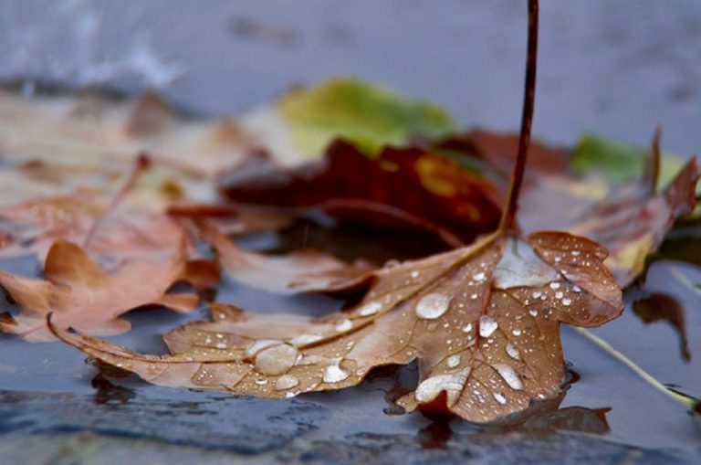 Meteo, 11 octombrie. Cum va fi vremea în prima zi a săptămânii. Maxima în Capitală