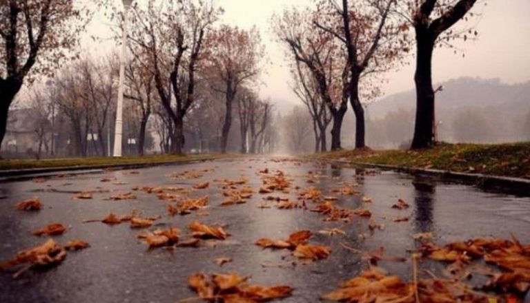 Meteo, 14 octombrie. Cum va fi vremea în a patra zi a săptămânii. Temperatura maximă în București