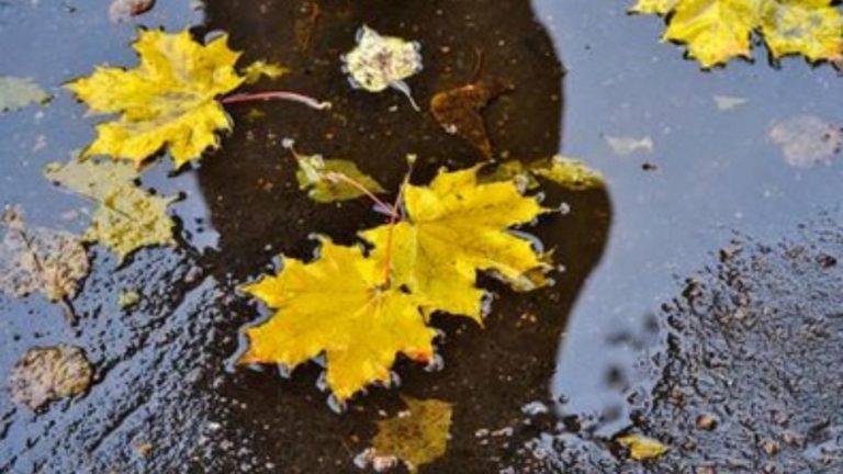 Meteo, 15 octombrie. COD PORTOCALIU de ploi, inclusiv în Capitală