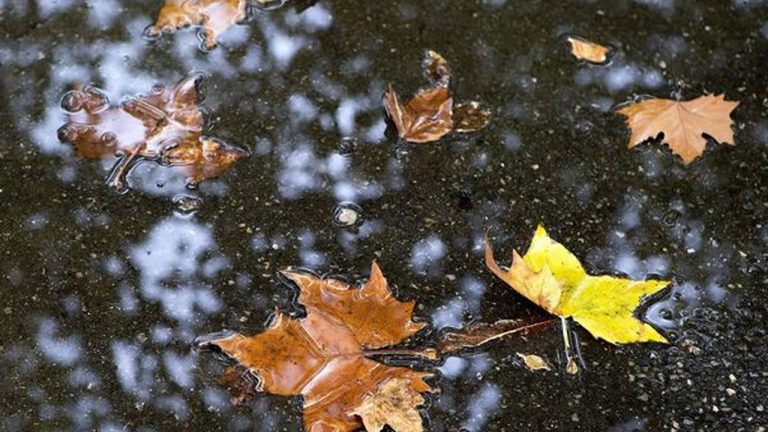 Meteo, 12 octombrie. Vremea continuă să fie rece, nu vor lipsi ploile