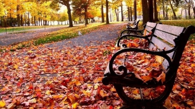 Meteo, 27 octombrie. Până la ce valori ajung temperaturile în a treia zi a săptămânii