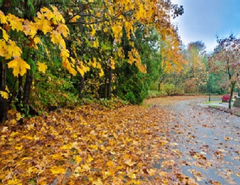 Meteo, 26 octombrie. Ce temperatură maximă se anunță în Capitală