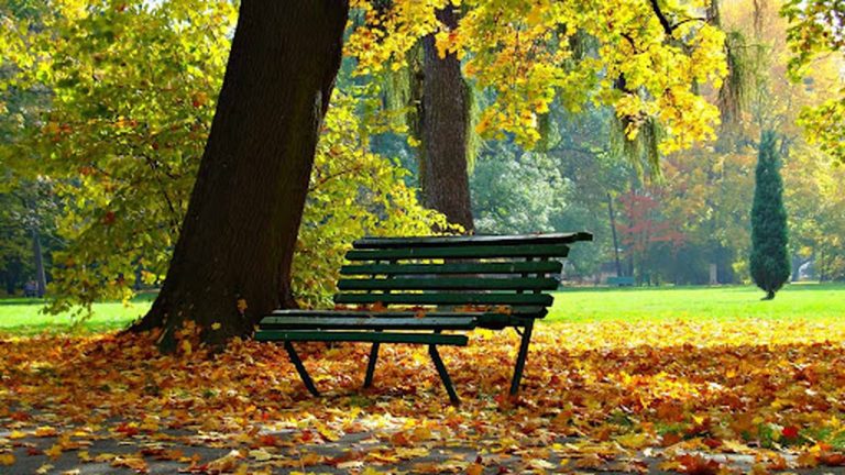 Meteo, 4 octombrie. Cum va fi vremea în prima zi a săptămânii. Temperatura maximă în București