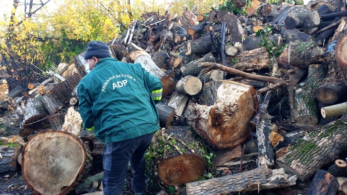 Totul Verde. a început distribuirea de lemne pentru foc, către familiile nevoiașe din sectorul 4