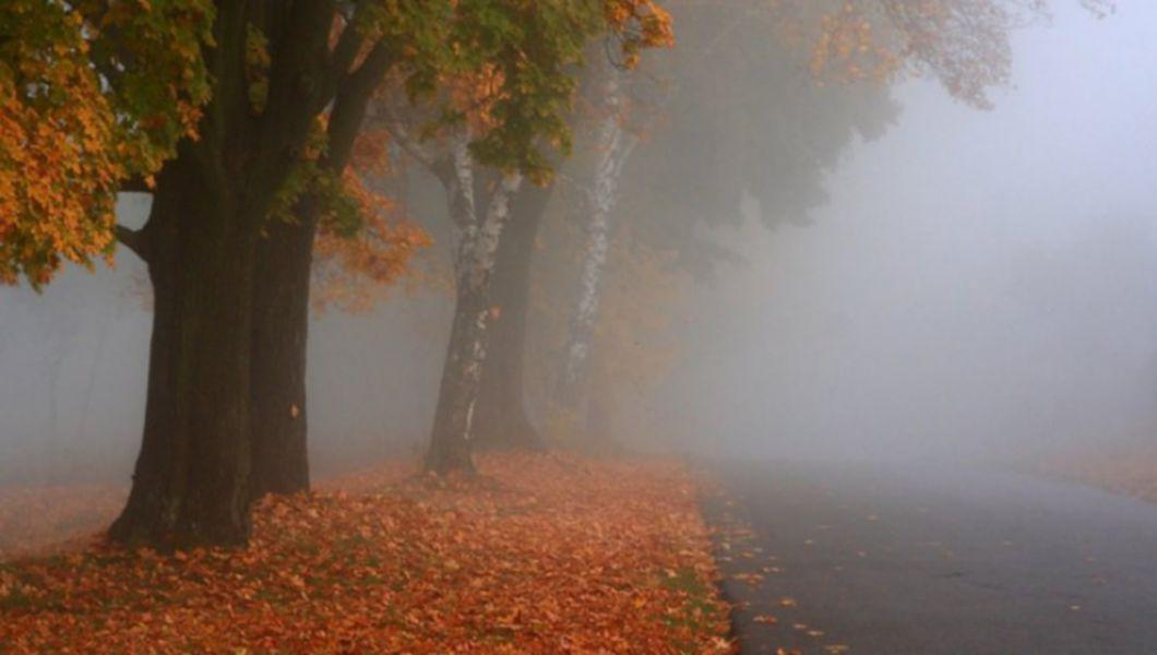 Meteo, 15 noiembrie. Cum va fi vremea în prima zi a săptămânii. Zonele aflate COD GALBEN de ceață