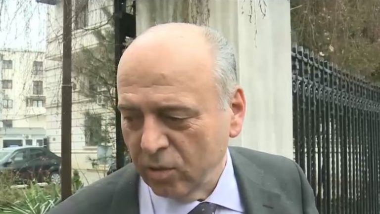 gheorghe stefan