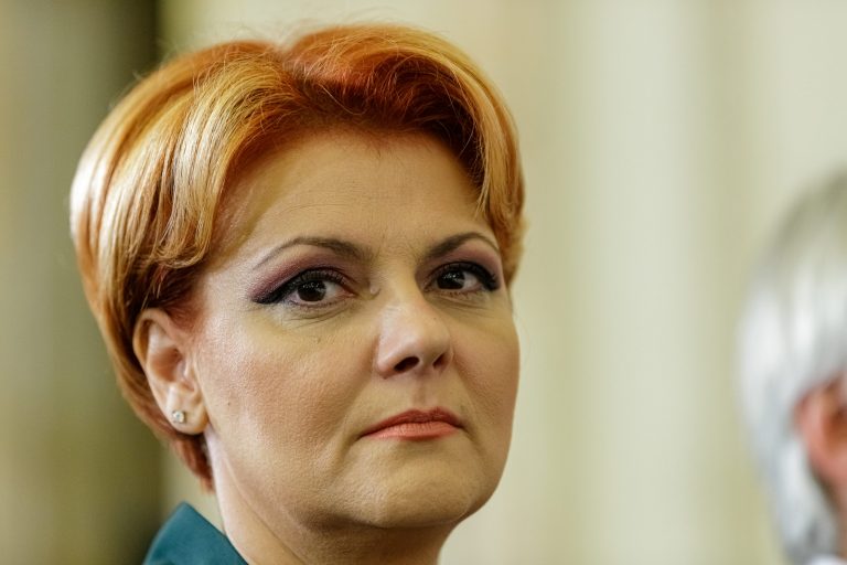 lia olguta-vasilescu