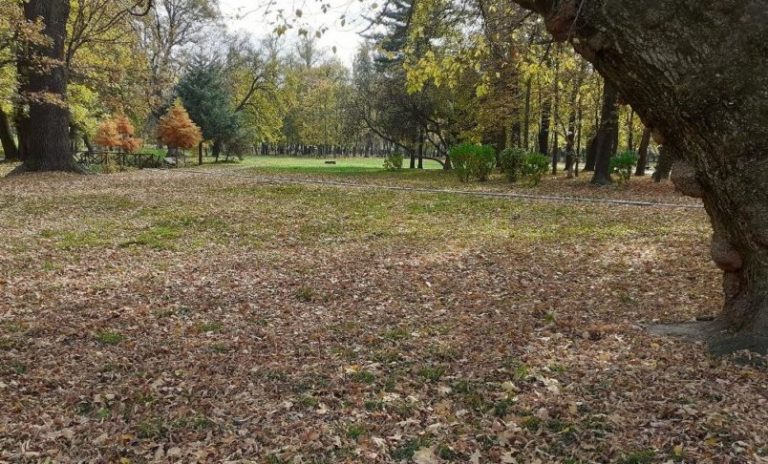 Meteo, 26 noiembrie. Ce se întâmplă cu temperaturile. Cum va fi vremea în București