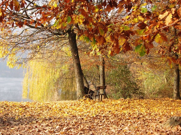 Meteo, 25 noiembrie. Cum va fi vremea joi. Maxima zilei în Capitală