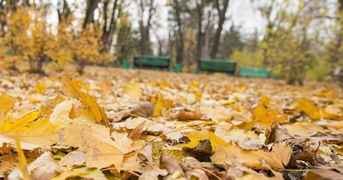 Meteo, 23 noiembrie. Scad temperaturile/ Cum va fi vremea în București