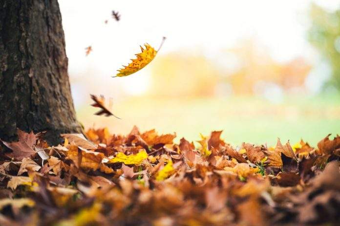 VREME, Vești de ultimă oră, ANM a emis COD GALBEN! Urmează un interval cu PLOI – zonele vizate