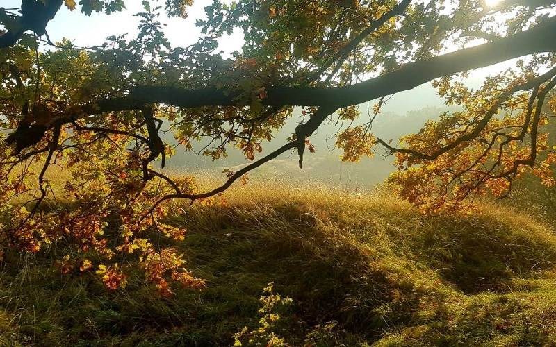 Meteo, 22 noiembrie. Vești despre temperaturile maxime din prima zi a săptămânii