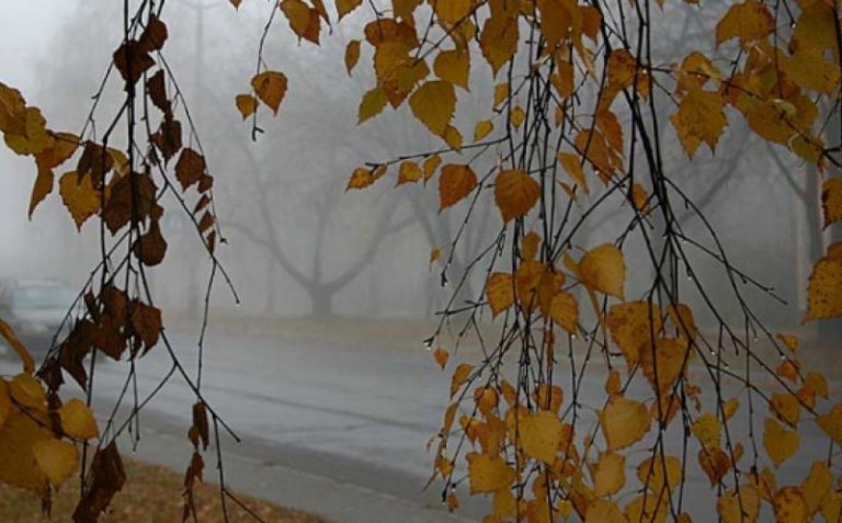 Meteo, 8 noiembrie. Cum va fi vremea în prima zi a săptămânii. Mai multe județe, sub COD GALBEN de ceață