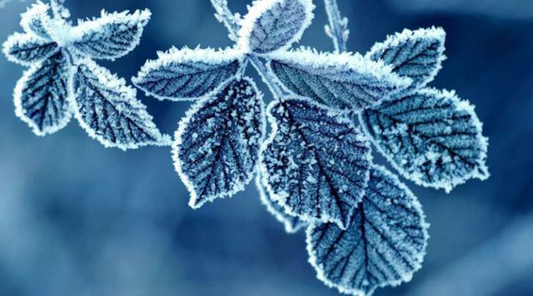 Meteo, 23 decembrie. Vremea rămâne rece. Maxima zilei în Capitală