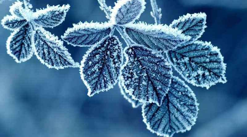 Meteo, 23 decembrie. Vremea rămâne rece. Maxima zilei în Capitală