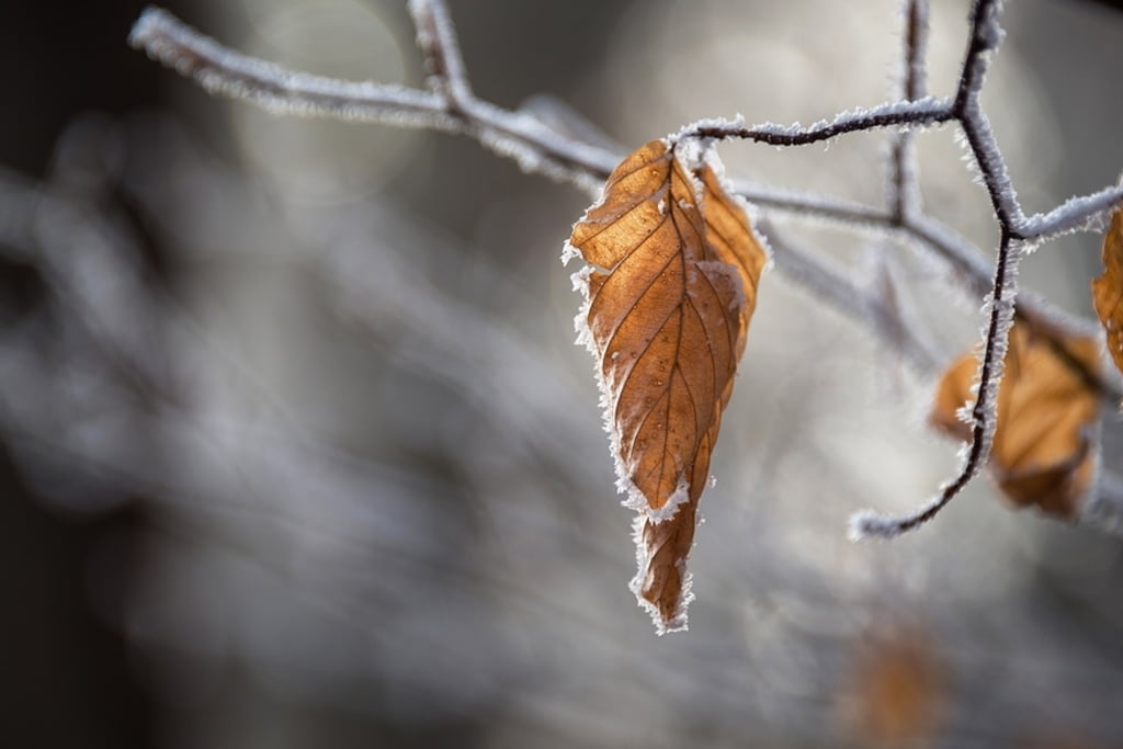 Meteo, 13 decembrie. Cum vor fi temperaturile în prima zi a săptămânii