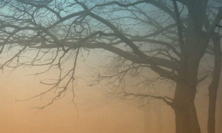 Meteo, 10 decembrie. Cum va fi vremea vineri. Mai multe zone, sub COD GALBEN de ceață/Ce se întâmplă cu temperaturile în Capitală