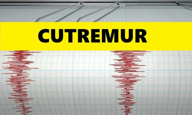 Cutremur în România, vineri dimineață. Ce magnitudine a avut seismul din zona Vrancea