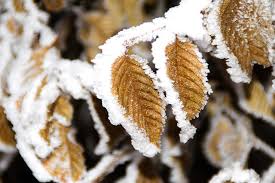 Vremea, 22 decembrie. Temperaturile rămân scăzute