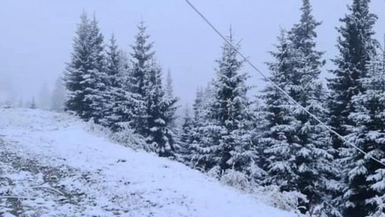 Meteo, 7 decembrie. Zonele aflate sub COD GALBEN de ninsori și vânt. Cum va fi vremea în București
