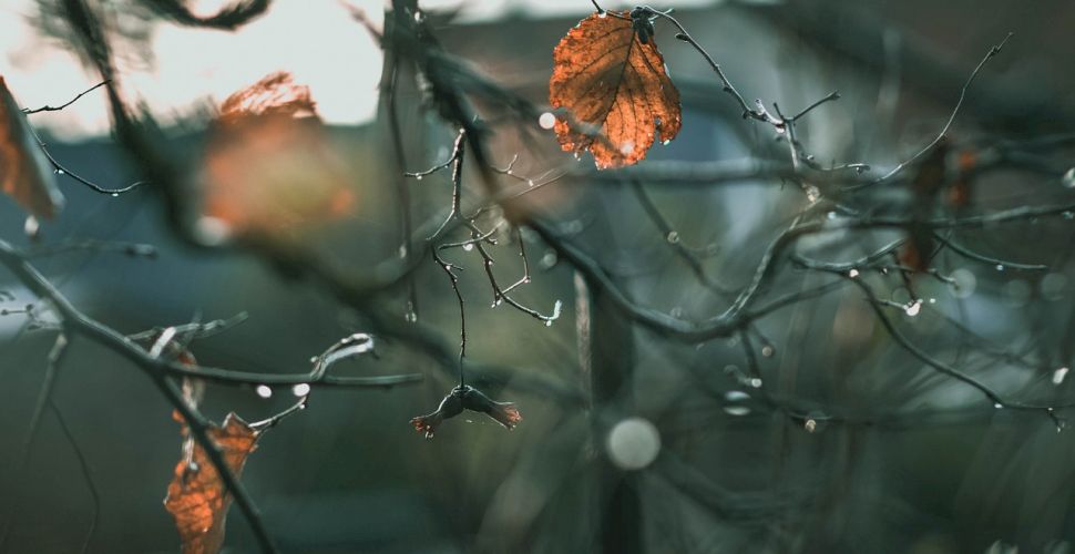 Meteo, 2 decembrie. Ce se anunță despre temperaturile din a doua zi a lunii decembrie. Cum va fi vremea în București