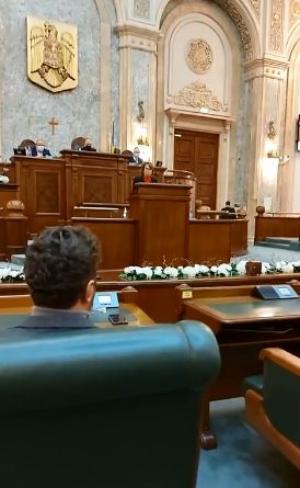 Diana Șoșoacă s-a dezlănțuit în Parlament! Cine a picat țintă jignirilor! - VIDEO