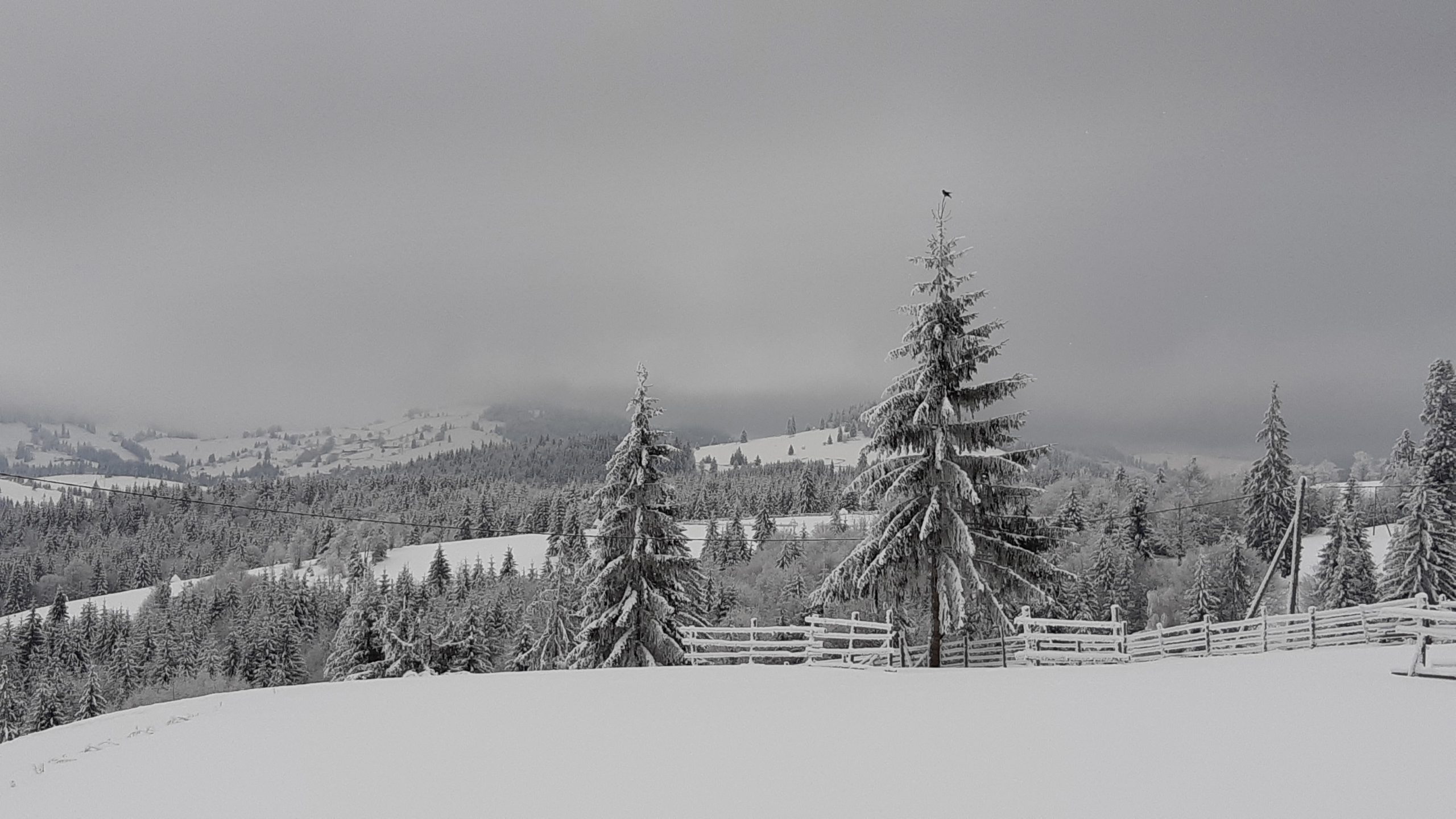 Meteo, 21 decembrie. Vremea se răcește