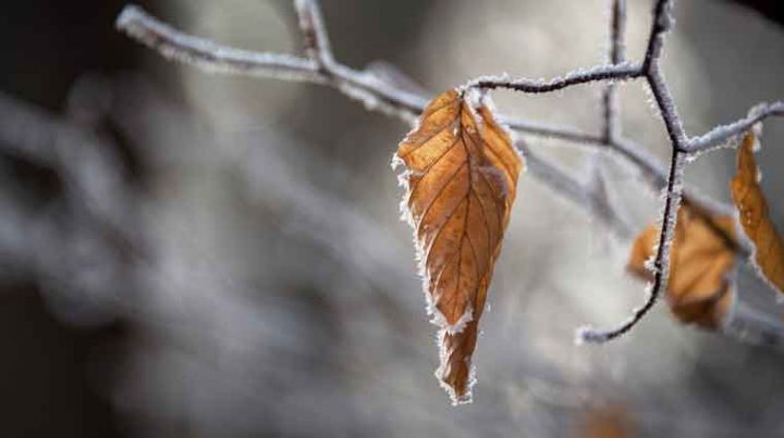 Meteo, 7 ianuarie. Temperaturile scad simțitor și în Capitală