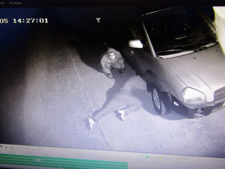 Covid-19, trambulină pentru furturile de catalizatoare auto