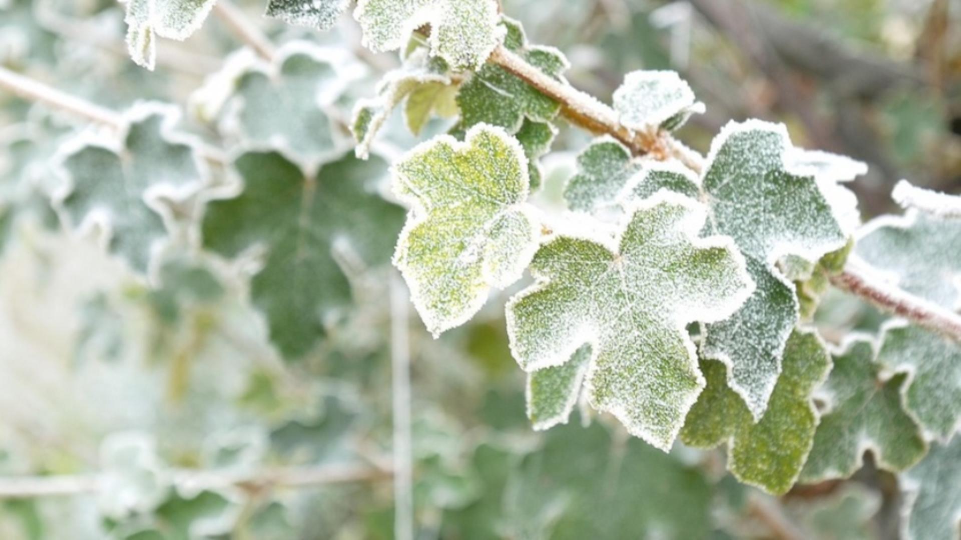 Meteo, 25 ianuarie. Încă o zi cu vreme rece. Temperatura maximă în Capitală