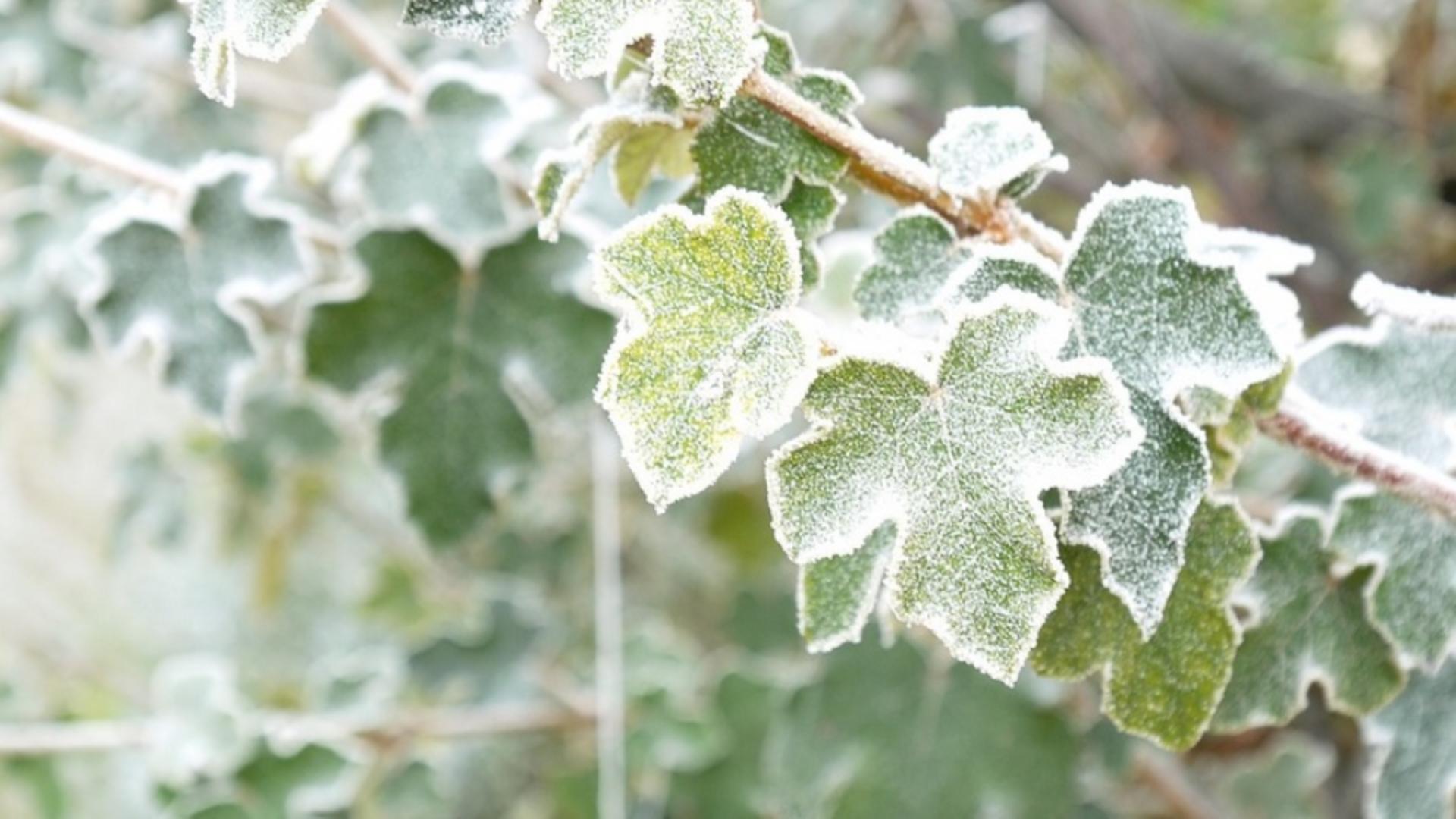 Meteo, 12 ianuarie. Vreme rece în Capitală și nu numai