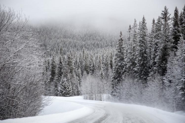 Meteo, 20 ianuarie. Ce se întâmplă cu temperaturile. Maxima zilei în București