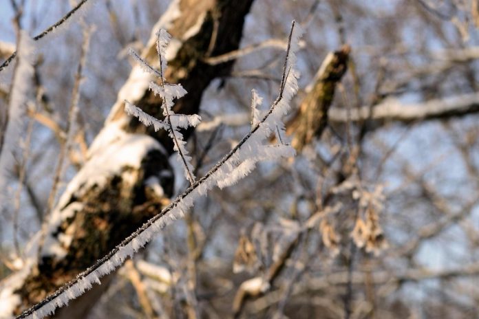 Meteo, 13 ianuarie. Vremea se menține rece. Maxima zilei în București