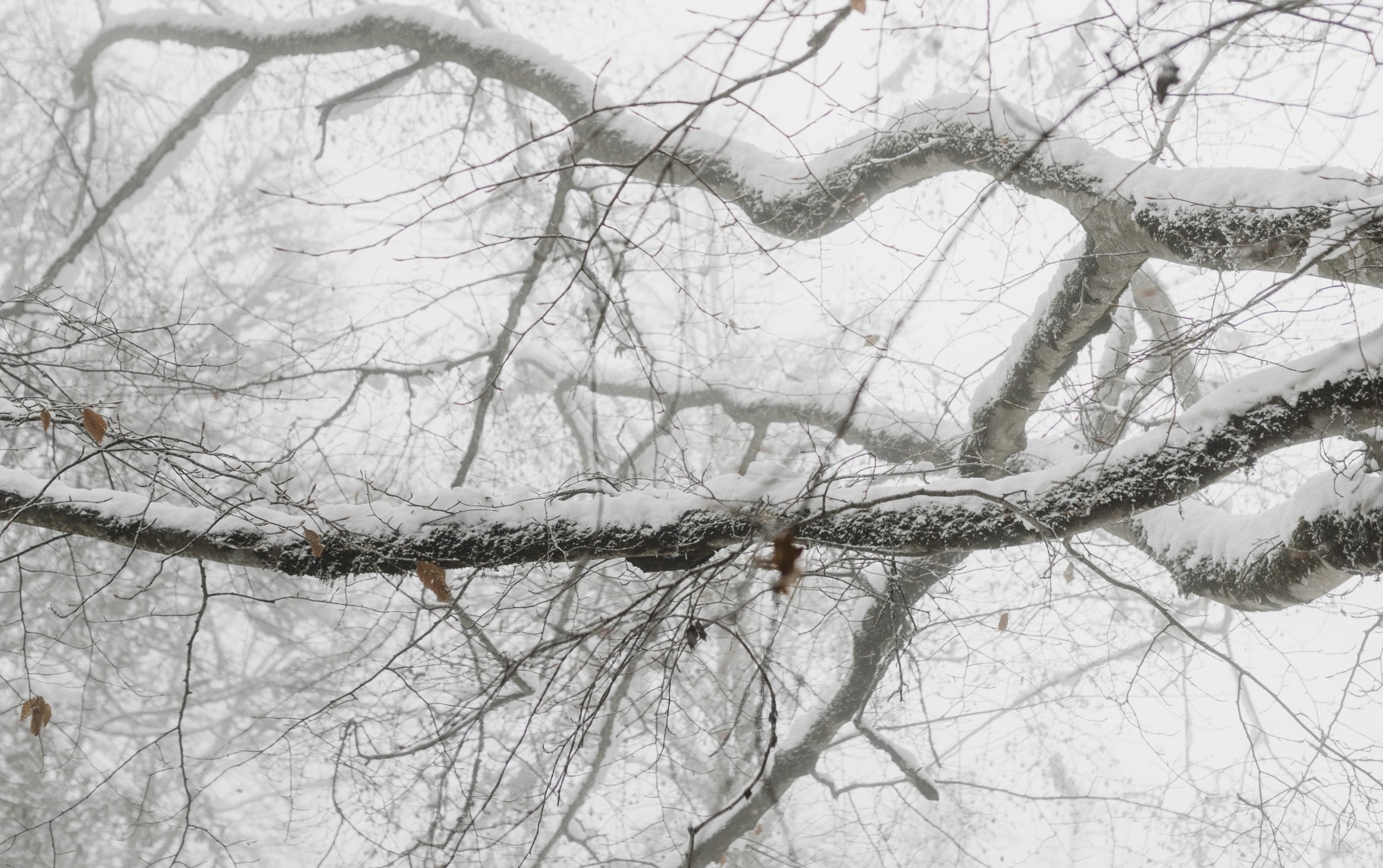 Meteo, 21 ianuarie. Vremea se mai răcește în Capitală - temperatura maximă de vineri