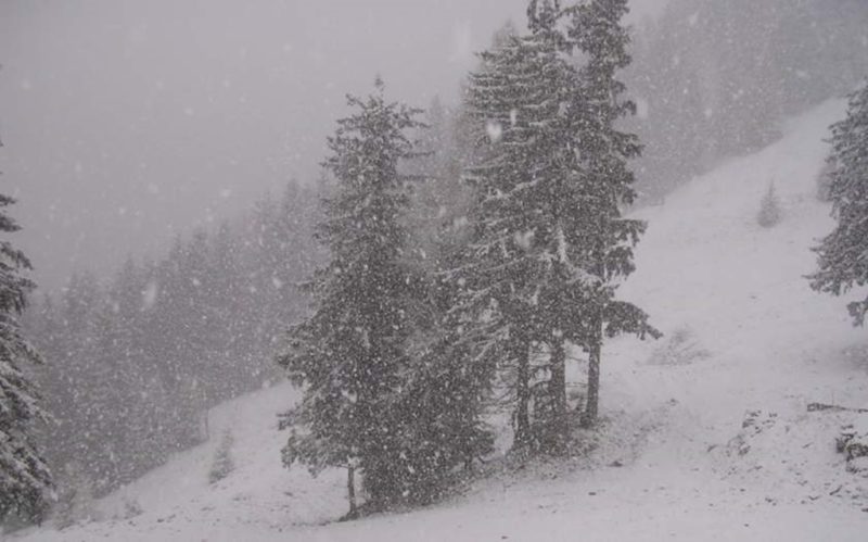 Alertă meteo. Sunt anunțate ninsori în mai multe zone din țară! Când va ninge și în București
