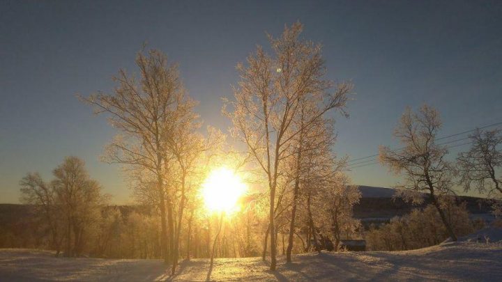 Meteo, 5 ianuarie. Vreme frumoasă, cu temperaturi primăvăratice în Capitală