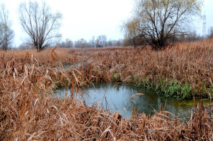 Parteneriat încheiat între Primăria Capitalei și Sectorul 4 pentru administrarea Parcului Natural Văcărești
