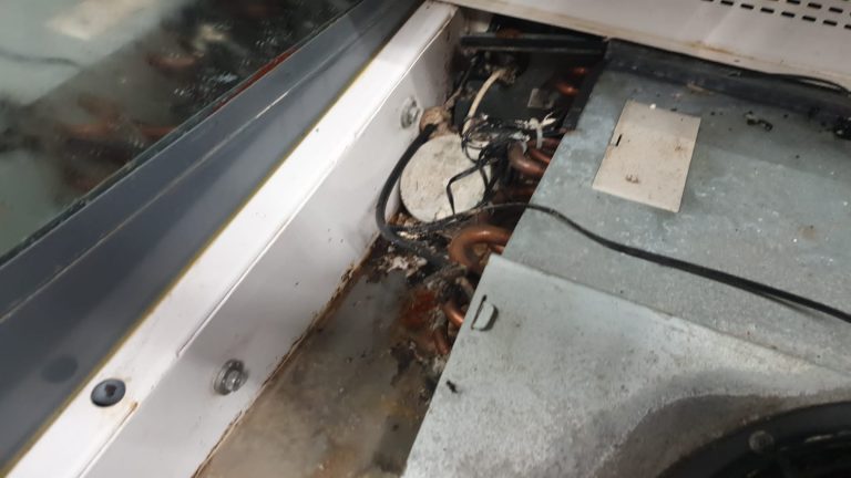 Jale în urma unor controale la supermarketuri din Capitală! ANPC a găsit gândaci și mucegai. „Nesimțire la borcan, indolență la pachet” - GALERIE FOTO