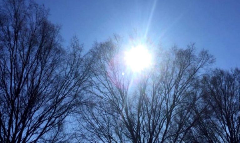 Prognoză specială pentru București. Cum va fi vremea în Capitală la începutul săptămânii. Vești despre temperaturi
