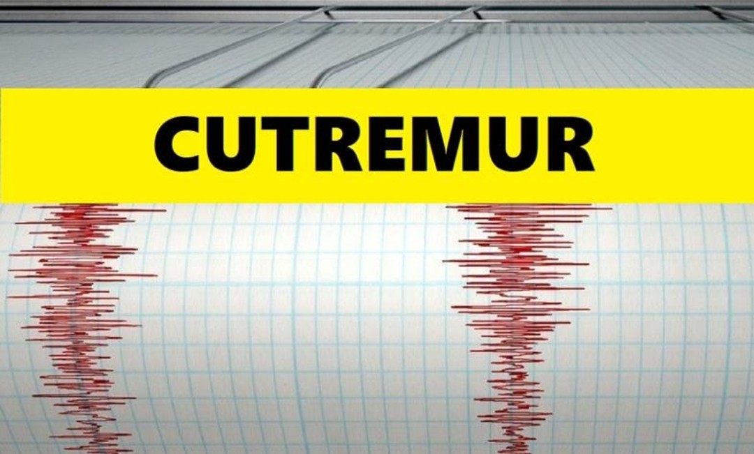 Două cutremure în România, la distanță de doar câteva ore. Ce magnitudine au avut