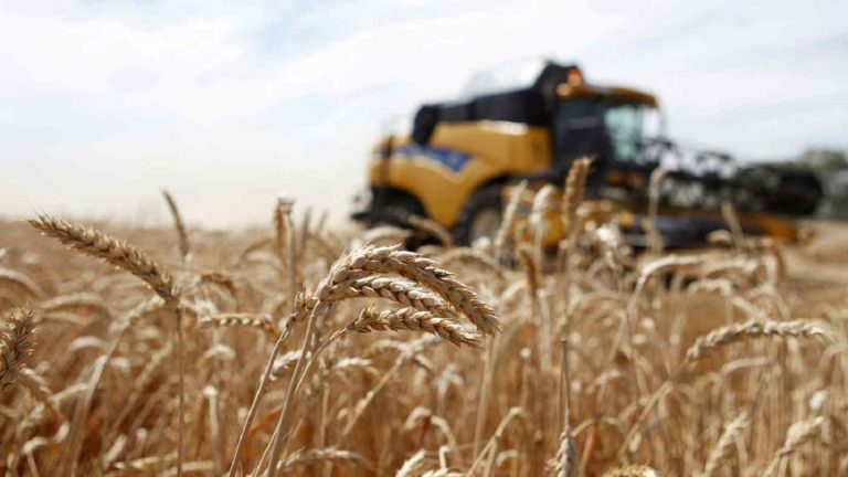 Criza Rusia-Ucraina aruncă în aer prețul pâinii. Războiul giganților exportatori de grâu