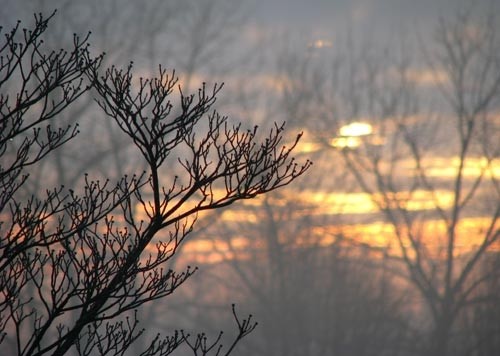 Meteo, 10 februarie. Temperaturi primăvăratice, inclusiv în București